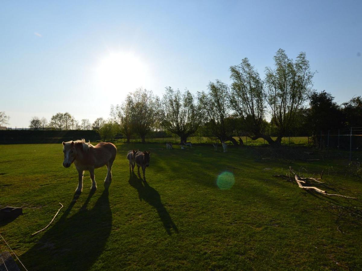 Holiday Home In Bergen Op Zoom With Garden Esterno foto